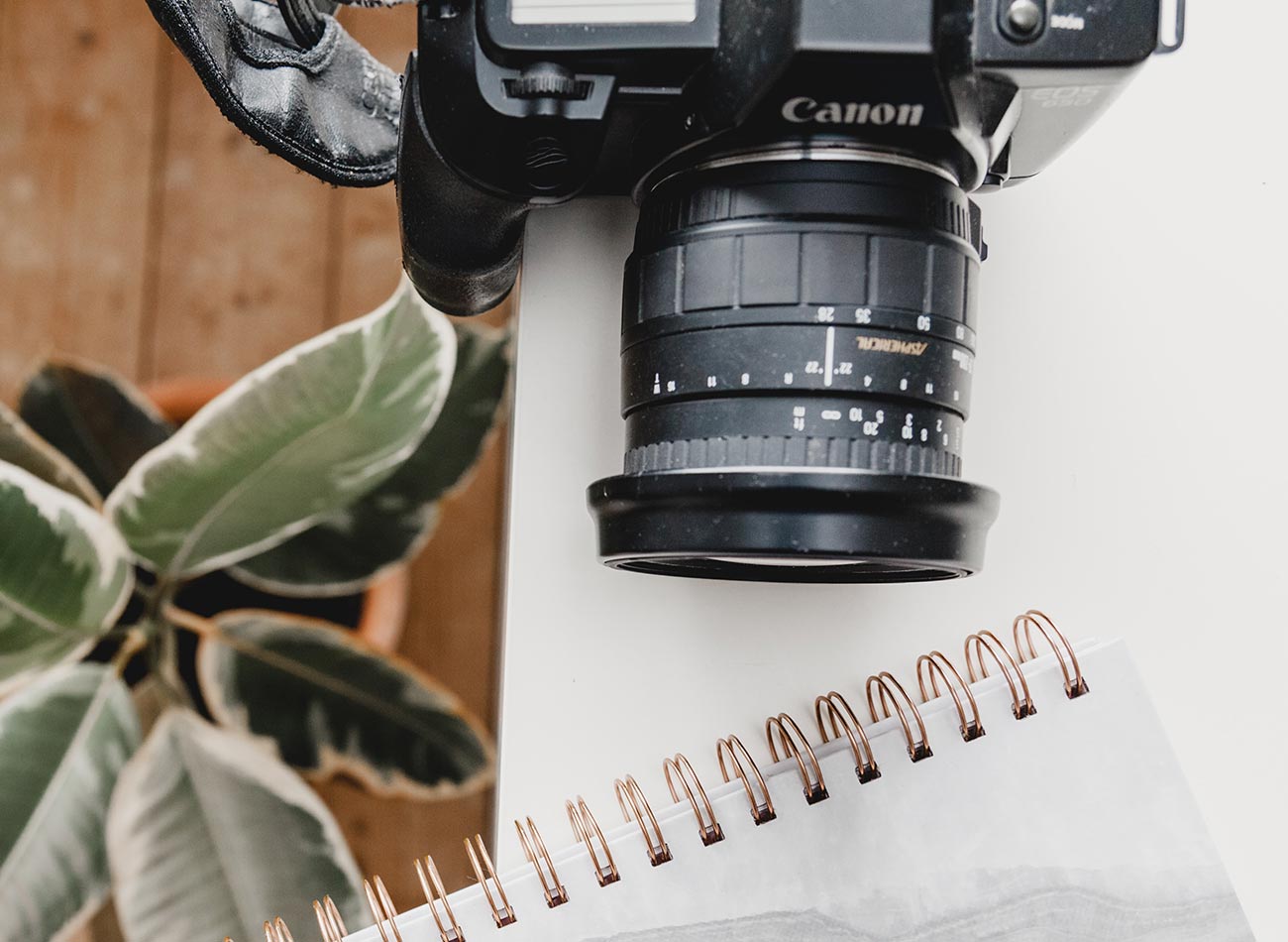 There’s A New *B*CH In Town